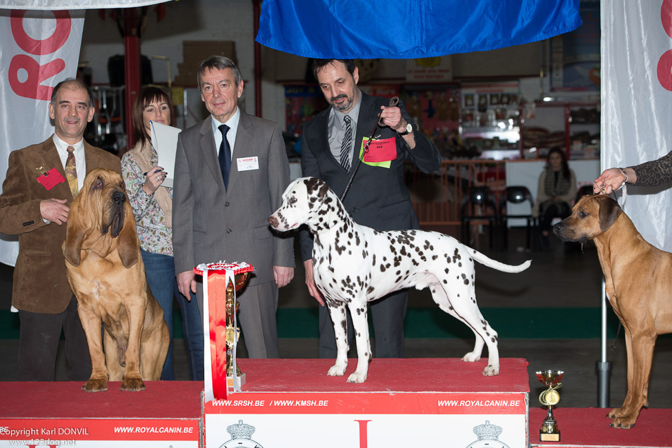 gal/Expo_janvier_2015/2015-02-27 13.31.55.jpg